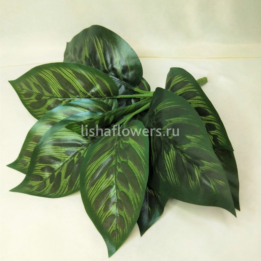 Диффенбахия 35см.Арт.3108/1